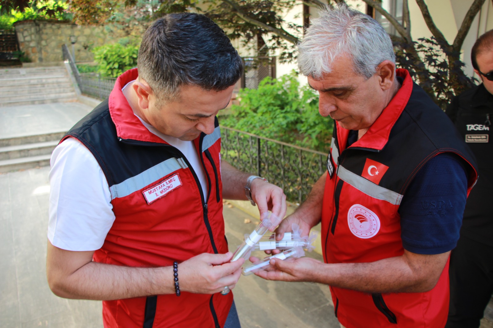 Yalova'da Kahverengi Kokarcaya Karşı Biyolojik Mücadele: 5 Bin Samuray Arısı Doğaya Salındı 5 Yalova'da Kahverengi Kokarcaya Karşı Biyolojik Mücadele: 5 Bin Samuray Arısı Doğaya Salındı