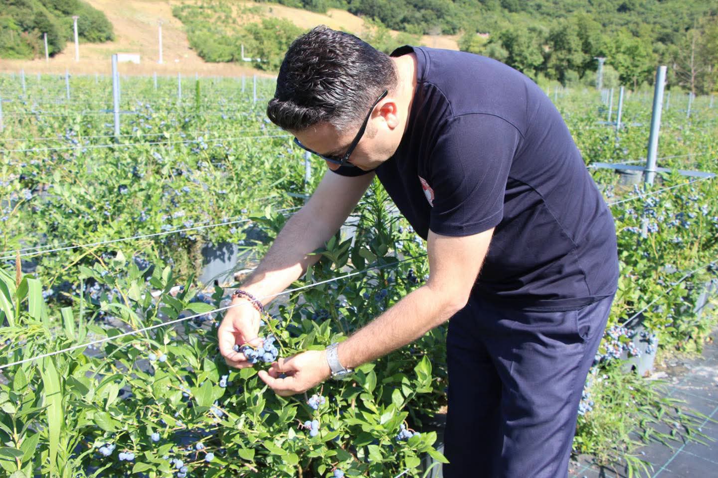 Yalova’da Mavi Yemiş Hasadı ve Tarımsal Üretime Yakın Takip: Vali Usta’dan Altınova’da Çiftçilere Ziyaret 7 Yalova’da Mavi Yemiş Hasadı ve Tarımsal Üretime Yakın Takip: Vali Usta’dan Altınova’da Çiftçilere Ziyaret