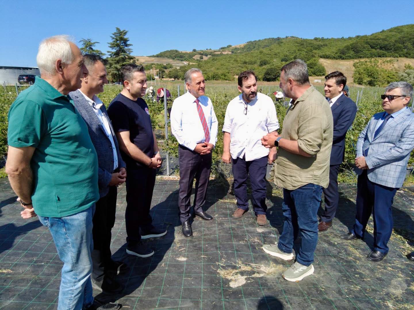Yalova’da Mavi Yemiş Hasadı ve Tarımsal Üretime Yakın Takip: Vali Usta’dan Altınova’da Çiftçilere Ziyaret 1 Yalova’da Mavi Yemiş Hasadı ve Tarımsal Üretime Yakın Takip: Vali Usta’dan Altınova’da Çiftçilere Ziyaret