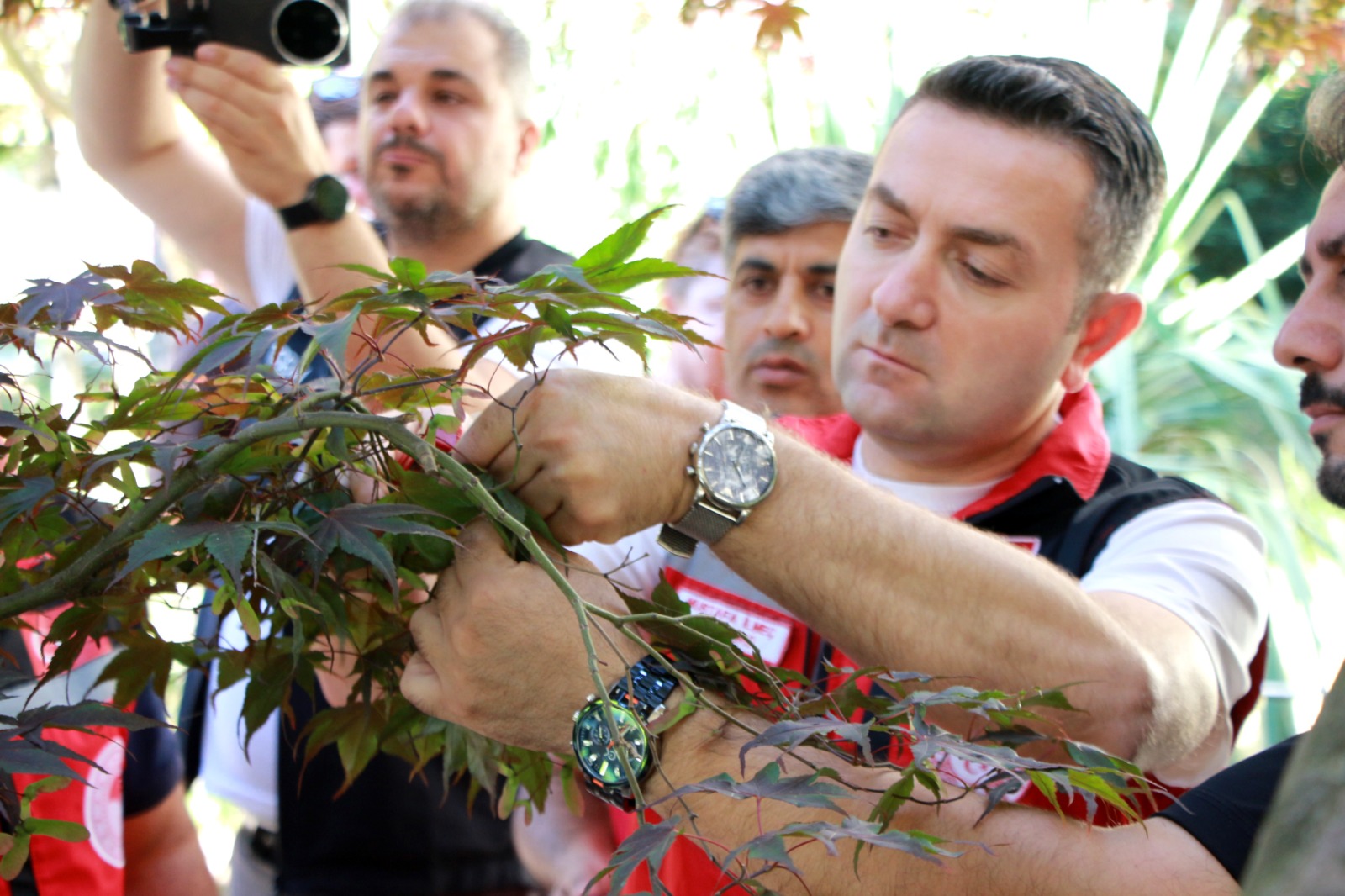 Yalova'da Kahverengi Kokarcaya Karşı Biyolojik Mücadele: 5 Bin Samuray Arısı Doğaya Salındı 6 Yalova'da Kahverengi Kokarcaya Karşı Biyolojik Mücadele: 5 Bin Samuray Arısı Doğaya Salındı
