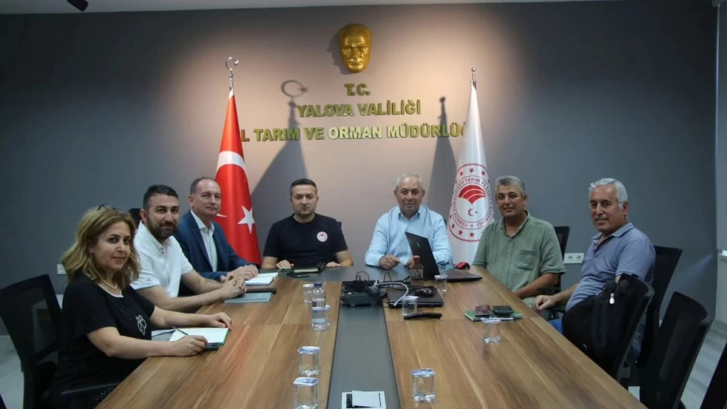 Yalova'nın Coğrafi İşaretli Ürünleri Avrupa Birliği Yolunda: Aronya, Kivi ve Kestane Balı İçin Tescil Süreci Başladı