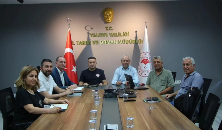 Yalova'nın Coğrafi İşaretli Ürünleri Avrupa Birliği Yolunda: Aronya, Kivi ve Kestane Balı İçin Tescil Süreci Başladı 6 Yalova'nın Coğrafi İşaretli Ürünleri Avrupa Birliği Yolunda: Aronya, Kivi ve Kestane Balı İçin Tescil Süreci Başladı