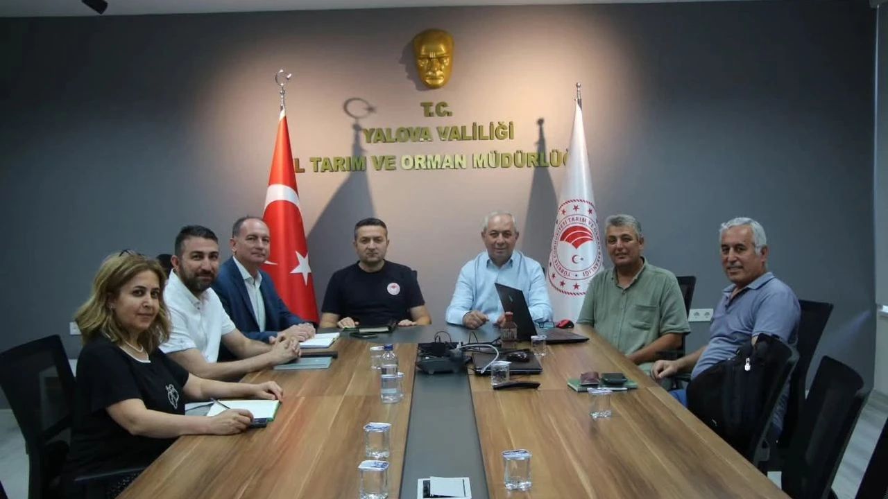 Yalova'nın Coğrafi İşaretli Ürünleri Avrupa Birliği Yolunda: Aronya, Kivi ve Kestane Balı İçin Tescil Süreci Başladı