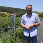 Yalova’dan Türkiye’ye Yaban Mersini Hamlesi: Alova Farm, Üretimin Yüzde 10’unu Karşılamayı Hedefliyor 22 Yalova’dan Türkiye’ye Yaban Mersini Hamlesi: Alova Farm, Üretimin Yüzde 10’unu Karşılamayı Hedefliyor
