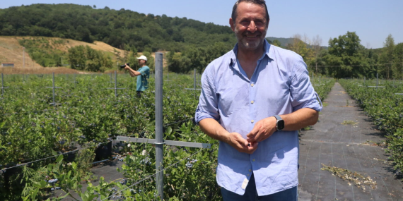 Yalova’dan Türkiye’ye Yaban Mersini Hamlesi: Alova Farm, Üretimin Yüzde 10’unu Karşılamayı Hedefliyor 14 Yalova’dan Türkiye’ye Yaban Mersini Hamlesi: Alova Farm, Üretimin Yüzde 10’unu Karşılamayı Hedefliyor