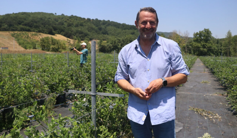 Yalova’dan Türkiye’ye Yaban Mersini Hamlesi: Alova Farm, Üretimin Yüzde 10’unu Karşılamayı Hedefliyor