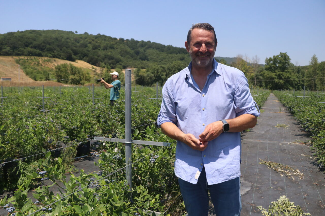 Yalova’dan Türkiye’ye Yaban Mersini Hamlesi: Alova Farm, Üretimin Yüzde 10’unu Karşılamayı Hedefliyor 2 Yalova’dan Türkiye’ye Yaban Mersini Hamlesi: Alova Farm, Üretimin Yüzde 10’unu Karşılamayı Hedefliyor