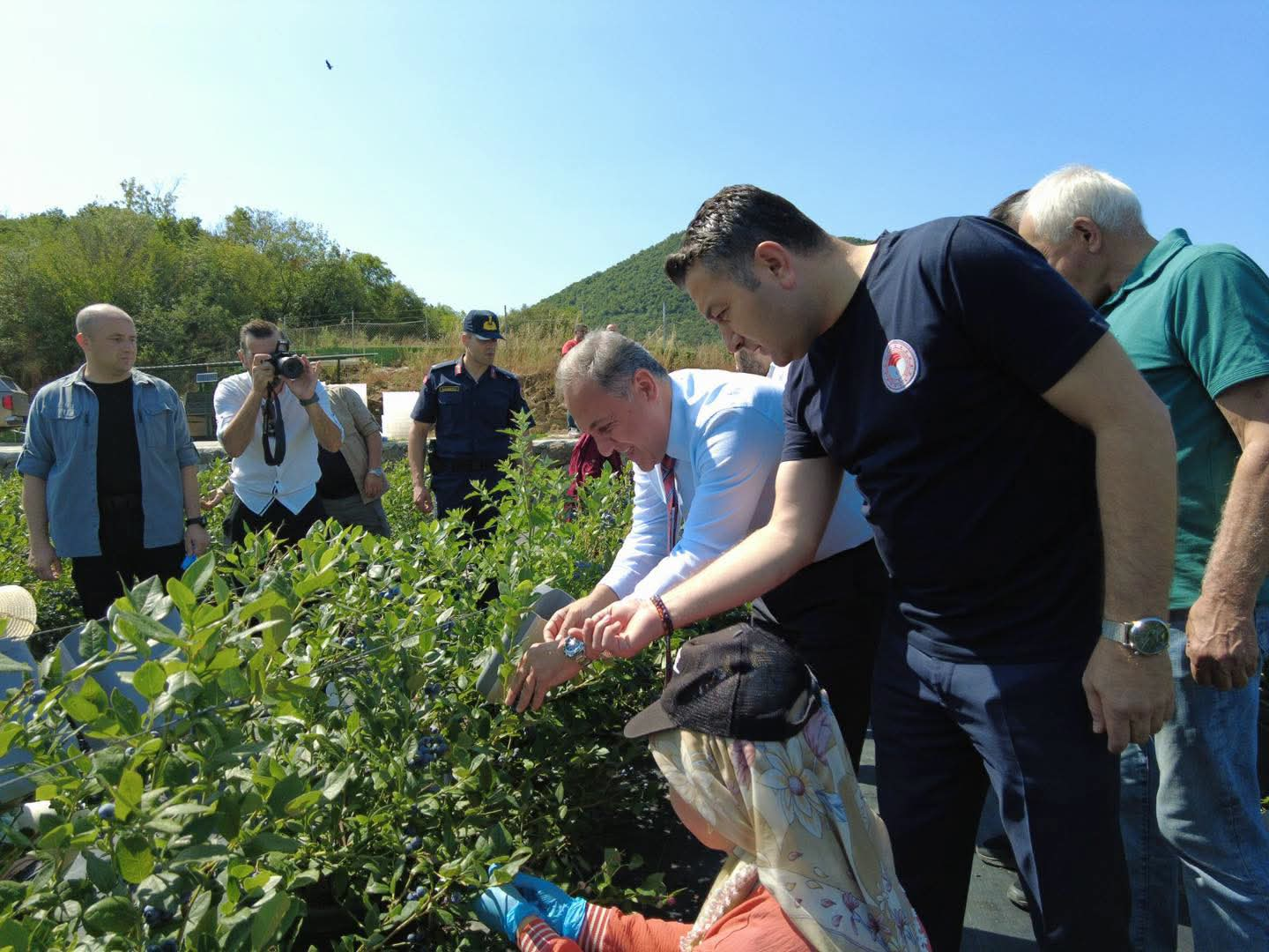 Yalova’da Mavi Yemiş Hasadı ve Tarımsal Üretime Yakın Takip: Vali Usta’dan Altınova’da Çiftçilere Ziyaret 8 Yalova’da Mavi Yemiş Hasadı ve Tarımsal Üretime Yakın Takip: Vali Usta’dan Altınova’da Çiftçilere Ziyaret