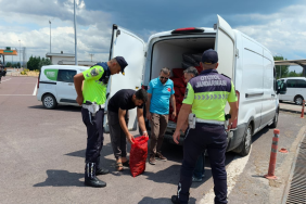 Yalova’da Kaçak Kara Midye Operasyonu: 3 Ton Ürüne El Konuldu, Doğal Yaşam Alanına Geri Bırakıldı