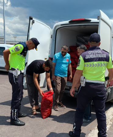 Yalova’da Kaçak Kara Midye Operasyonu: 3 Ton Ürüne El Konuldu, Doğal Yaşam Alanına Geri Bırakıldı