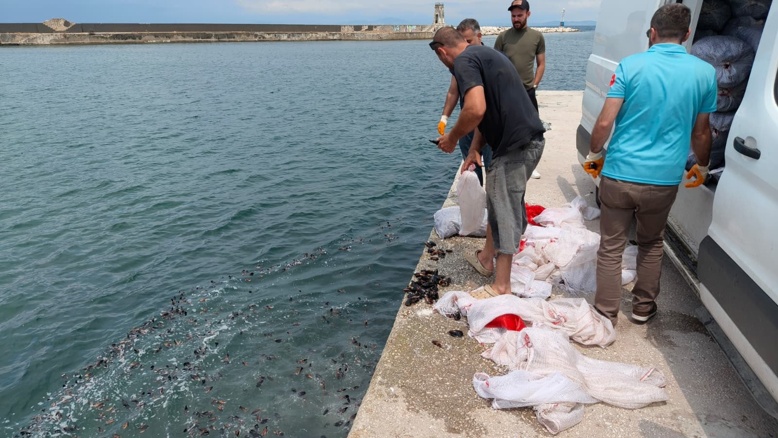 Yalova’da Kaçak Kara Midye Operasyonu: 3 Ton Ürüne El Konuldu, Doğal Yaşam Alanına Geri Bırakıldı 5 Yalova’da Kaçak Kara Midye Operasyonu: 3 Ton Ürüne El Konuldu, Doğal Yaşam Alanına Geri Bırakıldı