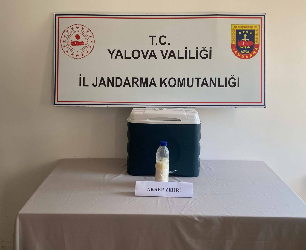 Yalova’da 5 Milyon Dolarlık Akrep Zehri Operasyonu
