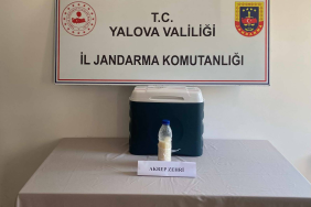 Çiftlikköy’de Minik Eller Seramikle Buluştu: Yaz Atölyelerinde Yaratıcılık ve Eğlence Bir Arada 3 thumbnail