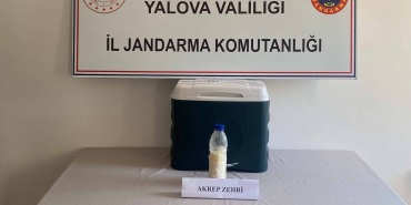 Yalova’da 5 Milyon Dolarlık Akrep Zehri Operasyonu