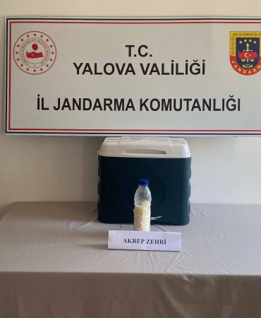 Yalova’da 5 Milyon Dolarlık Akrep Zehri Operasyonu