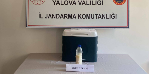 Yalova’da 5 Milyon Dolarlık Akrep Zehri Operasyonu