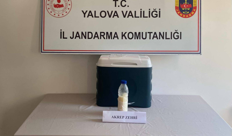 Yalova’da 5 Milyon Dolarlık Akrep Zehri Operasyonu 6 Yalova’da 5 Milyon Dolarlık Akrep Zehri Operasyonu