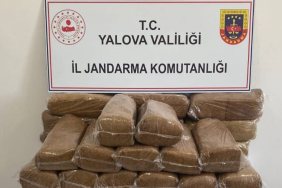 Yalova’da “Kan Bağışıyla Hayata Pas Ver” Etkinliği: Spor Camiası Hayat Kurtarmak İçin Bir Araya Geliyor 3 thumbnail