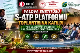 YALOVA’DAN BİLİMSEL ARAŞTIRMALARA KATKI: S-ATP PLATFORMU TOPLANTISINA KATILIM 6 YALOVA’DAN BİLİMSEL ARAŞTIRMALARA KATKI: S-ATP PLATFORMU TOPLANTISINA KATILIM