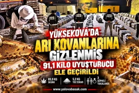 Yüksekova’da Arı Kovanlarına Gizlenmiş 91,1 Kilo Uyuşturucu Ele Geçirildi 13 Yüksekova’da Arı Kovanlarına Gizlenmiş 91,1 Kilo Uyuşturucu Ele Geçirildi