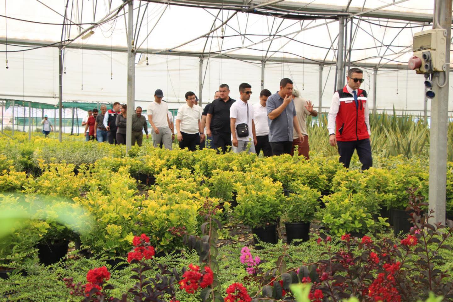 Özbekistan Heyetinden Yalova’da Tarım ve TARSİM İncelemesi