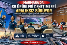 Yalova Valisi Ahmet Hamdi Usta, Elmalı Yağlı Güreşleri’ni İzledi; Ata Ocağı’nda Annesiyle Buluştu 1 thumbnail