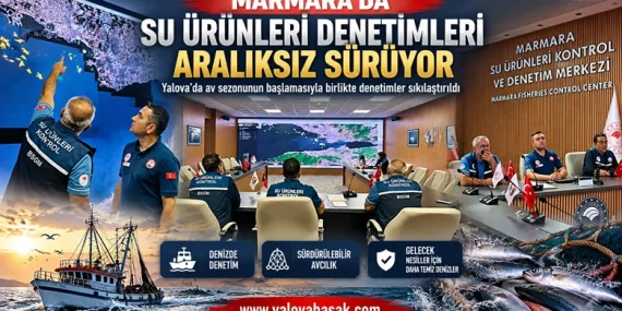 Yalova’da Balıkçılık Denetimleri Sezon Başında Sıkılaştırıldı 10 Yalova’da Balıkçılık Denetimleri Sezon Başında Sıkılaştırıldı