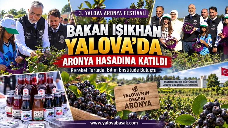 Bakan Işıkhan Yalova’da Aronya Hasadına Katıldı: Bereket Tarlada, Bilim Enstitüde Buluştu