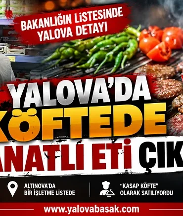 Yalova’da Kasap Köftede Kanatlı Eti Tespit Edildi! Bakanlığın Taklit ve Tağşiş Listesine Girdi