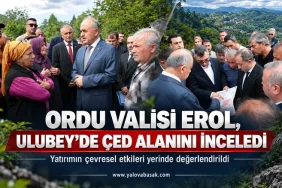 Hasan Akpınar, Eğitim-Bir-Sen Yalova Şube Başkanlığına Adaylığını Açıkladı 1 thumbnail