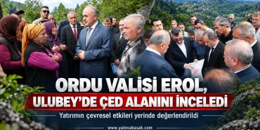 Ordu Valisi Erol, Ulubey’de ÇED Başvuru Alanını Yerinde İnceledi 101 Ordu Valisi Erol, Ulubey’de ÇED Başvuru Alanını Yerinde İnceledi