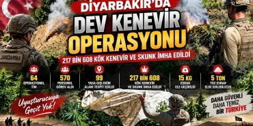 Diyarbakır’da dev kenevir operasyonu: 217 bin 608 kök kenevir ve skunk imha edildi 12 Diyarbakır’da dev kenevir operasyonu: 217 bin 608 kök kenevir ve skunk imha edildi