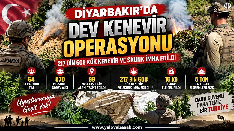 Diyarbakır’da dev kenevir operasyonu: 217 bin 608 kök kenevir ve skunk imha edildi