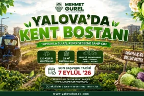 Yüzleşme Sergisi Yalova’da Kapılarını Açtı: 3 Bin 600 Kadının Hikâyesi Sanatla Anlatılıyor 2 thumbnail