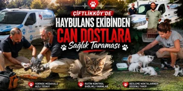 Çiftlikköy’de Haybulans Ekiplerinden Can Dostlara Sağlık Taraması 103 Çiftlikköy’de Haybulans Ekiplerinden Can Dostlara Sağlık Taraması