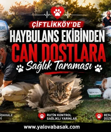 Çiftlikköy’de Haybulans Ekiplerinden Can Dostlara Sağlık Taraması