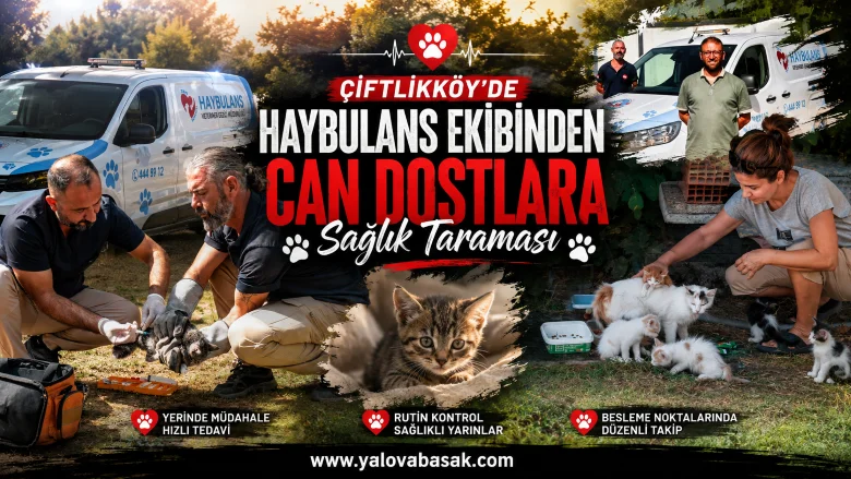Çiftlikköy’de Haybulans Ekiplerinden Can Dostlara Sağlık Taraması