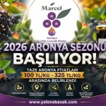 2026 Aronya Sezonu Öncesi Fiyatlar Açıklandı: Yalova Aronyasında Yeni Sezon Heyecanı 21 2026 Aronya Sezonu Öncesi Fiyatlar Açıklandı: Yalova Aronyasında Yeni Sezon Heyecanı