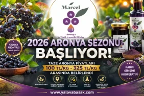 Vali Usta’dan MHP Yalova İl Başkanı Mustafa Deviren ve Yönetimine Başarı Mesajı 1 thumbnail