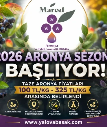 2026 Aronya Sezonu Öncesi Fiyatlar Açıklandı: Yalova Aronyasında Yeni Sezon Heyecanı 7 2026 Aronya Sezonu Öncesi Fiyatlar Açıklandı: Yalova Aronyasında Yeni Sezon Heyecanı