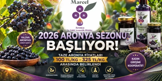 2026 Aronya Sezonu Öncesi Fiyatlar Açıklandı: Yalova Aronyasında Yeni Sezon Heyecanı 10 2026 Aronya Sezonu Öncesi Fiyatlar Açıklandı: Yalova Aronyasında Yeni Sezon Heyecanı