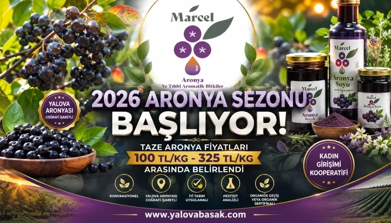 2026 Aronya Sezonu Öncesi Fiyatlar Açıklandı: Yalova Aronyasında Yeni Sezon Heyecanı 1 2026 Aronya Sezonu Öncesi Fiyatlar Açıklandı: Yalova Aronyasında Yeni Sezon Heyecanı