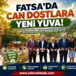 Fatsa’da Sokak Hayvanları İçin Yeni Yaşam Alanı: 350 Can Dostu Güvenli Yuvaya Kavuşacak