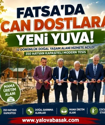 Fatsa’da Sokak Hayvanları İçin Yeni Yaşam Alanı: 350 Can Dostu Güvenli Yuvaya Kavuşacak 8 Fatsa’da Sokak Hayvanları İçin Yeni Yaşam Alanı: 350 Can Dostu Güvenli Yuvaya Kavuşacak