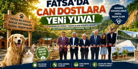 Fatsa’da Sokak Hayvanları İçin Yeni Yaşam Alanı: 350 Can Dostu Güvenli Yuvaya Kavuşacak