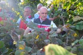 Ordu’da 2026 fındık hasadı başladı: Sezon bereket duasıyla açıldı 12 Ordu’da 2026 fındık hasadı başladı: Sezon bereket duasıyla açıldı