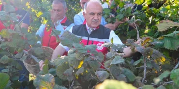 Ordu’da 2026 fındık hasadı başladı: Sezon bereket duasıyla açıldı 101 Ordu’da 2026 fındık hasadı başladı: Sezon bereket duasıyla açıldı