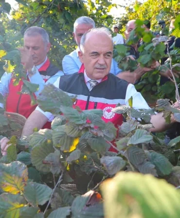 Ordu’da 2026 fındık hasadı başladı: Sezon bereket duasıyla açıldı