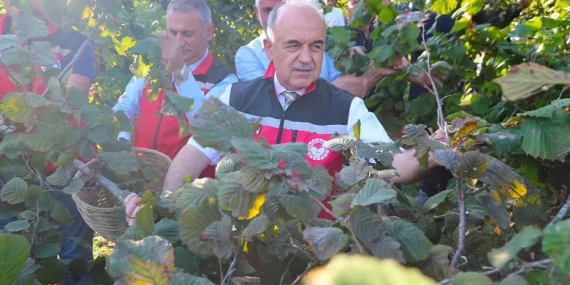 Ordu’da 2026 fındık hasadı başladı: Sezon bereket duasıyla açıldı 20 Ordu’da 2026 fındık hasadı başladı: Sezon bereket duasıyla açıldı