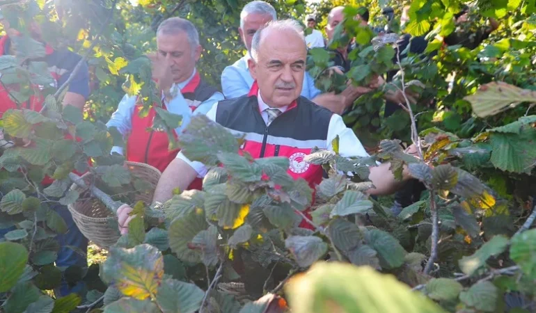Ordu’da 2026 fındık hasadı başladı: Sezon bereket duasıyla açıldı 1 Ordu’da 2026 fındık hasadı başladı: Sezon bereket duasıyla açıldı